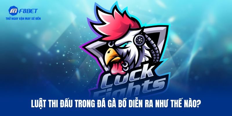 Thông tin luật đá gà bồ
